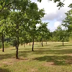 Domaine De La Greze *