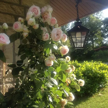 Domaine De La Greze 招待所