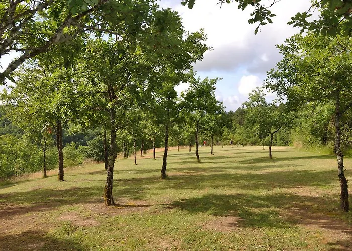 Domaine De La Greze *