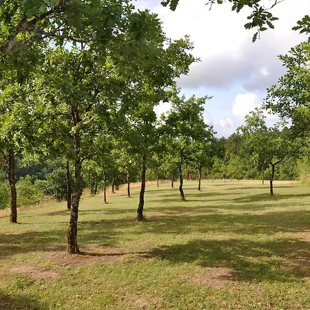 Domaine De La Greze *