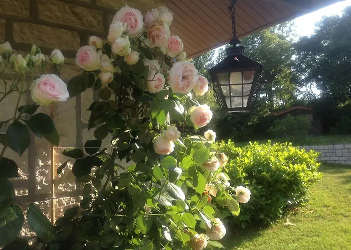 Domaine De La Greze Pensionat