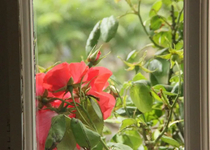 Domaine De La Greze * Murat